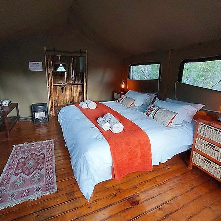 Agama Tented Camp Garies Extérieur photo