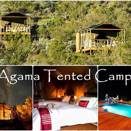 Agama Tented Camp Garies Extérieur photo