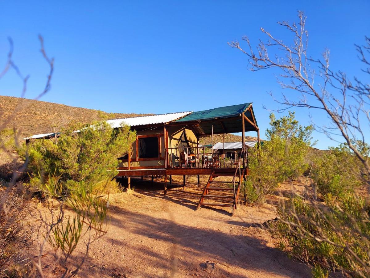 Agama Tented Camp Garies Extérieur photo