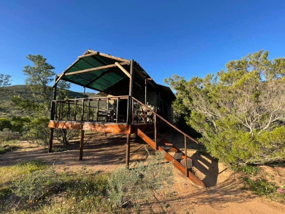 Agama Tented Camp Garies Extérieur photo