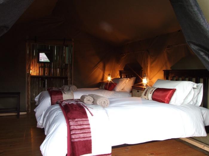 Agama Tented Camp Garies Extérieur photo