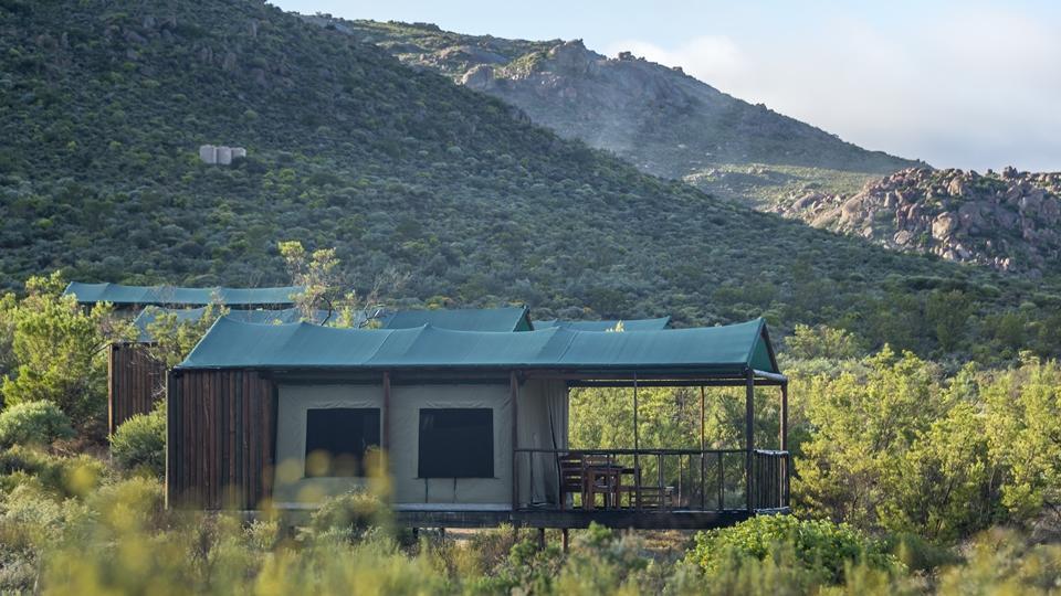 Agama Tented Camp Garies Extérieur photo
