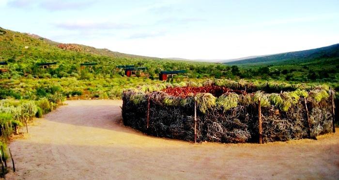 Agama Tented Camp Garies Extérieur photo