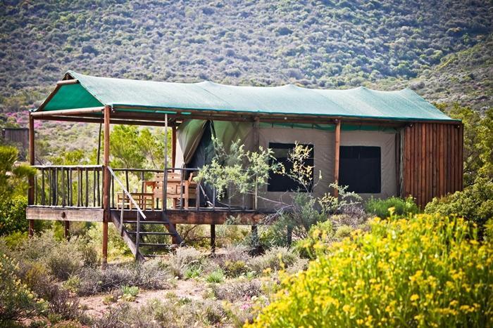 Agama Tented Camp Garies Extérieur photo