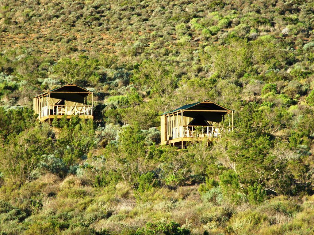 Agama Tented Camp Garies Extérieur photo