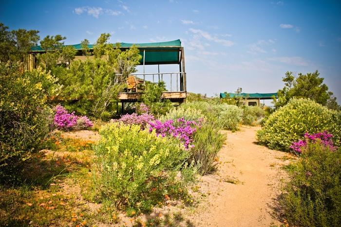 Agama Tented Camp Garies Extérieur photo