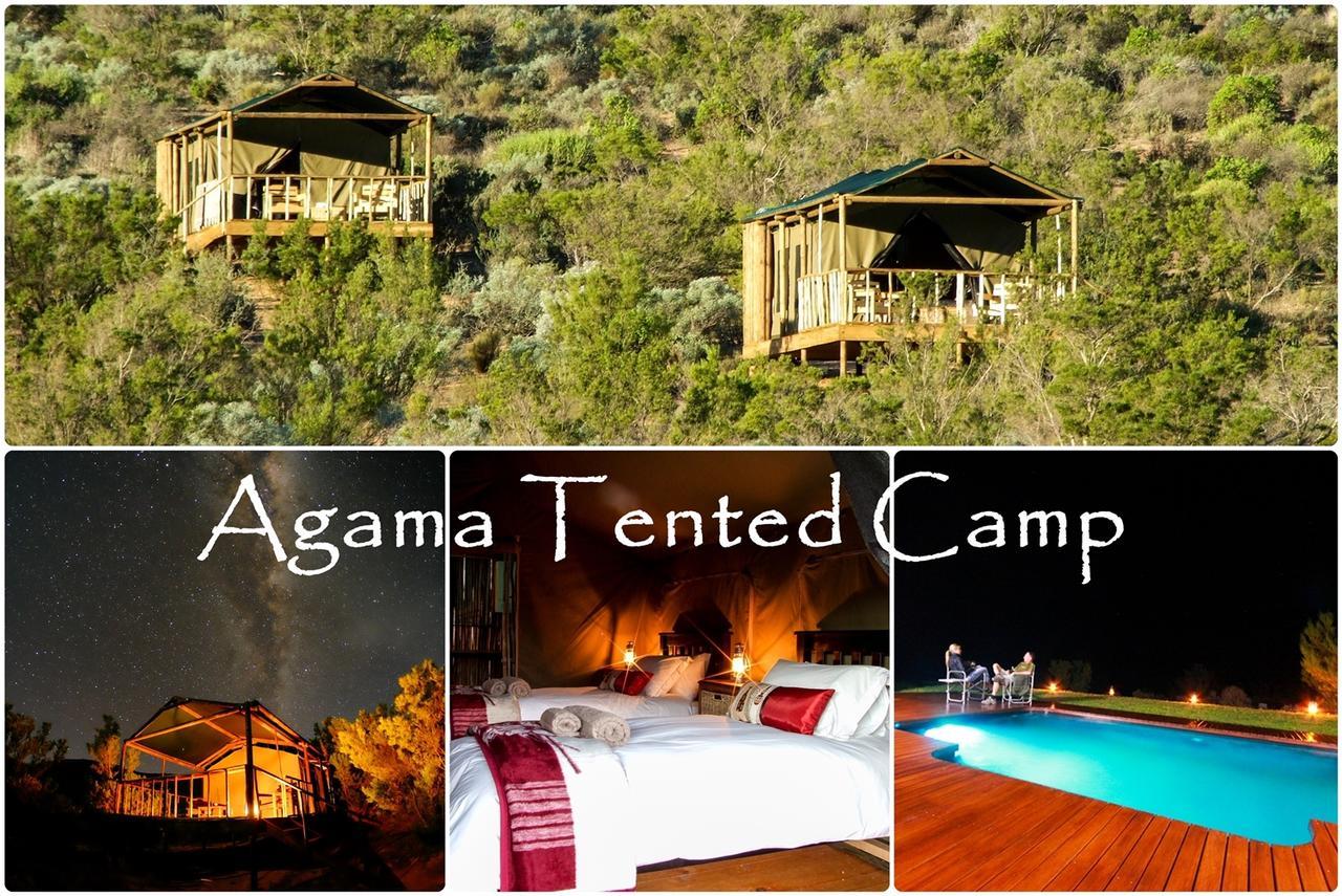 Agama Tented Camp Garies Extérieur photo